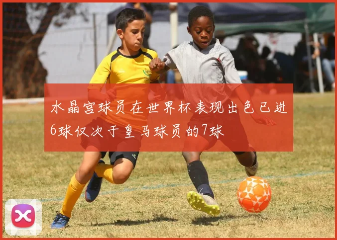 水晶宫球员在世界杯表现出色已进6球仅次于皇马球员的7球